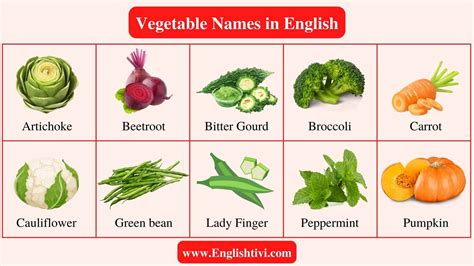 Vegetable Name: List of a Vegetable Names in English - Englishtivi