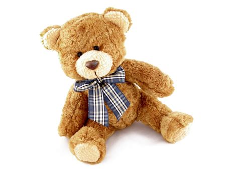 my teddy bear Free Photo Download | FreeImages