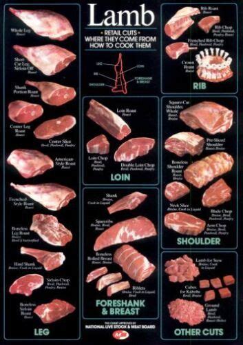 Lamb Cuts Cuts Of Meat Chart Poster 24inx36in | eBay