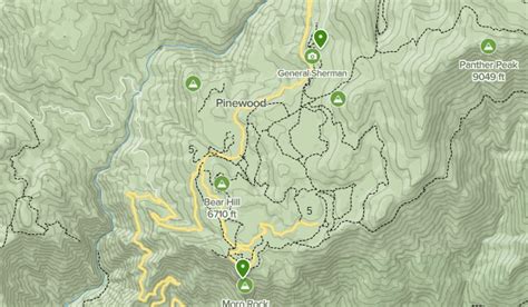 Sq - Giant Forest | List | AllTrails