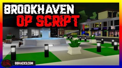 Brookhaven Script [2022] New Very OP Scripts | Brookhaven, Script, Roblox