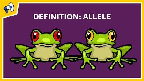 What is an Allele? Quick Definition