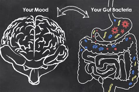 Brain-Gut Dysfunction - Dr. Shashi