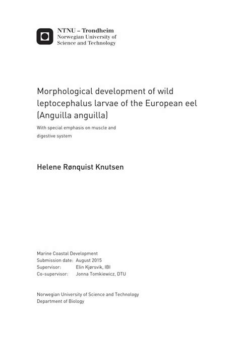 (PDF) Morphological development of wild leptocephalus larvae of - DOKUMEN.TIPS