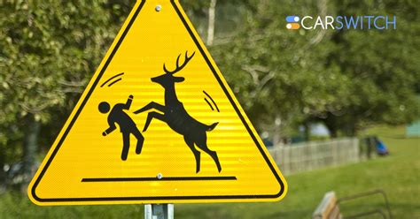 Unusual Road Signs Around the World | CarSwitch