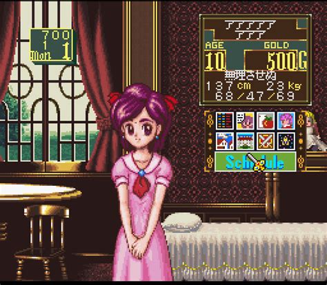 Princess Maker: Legend of Another World (Game) - Giant Bomb