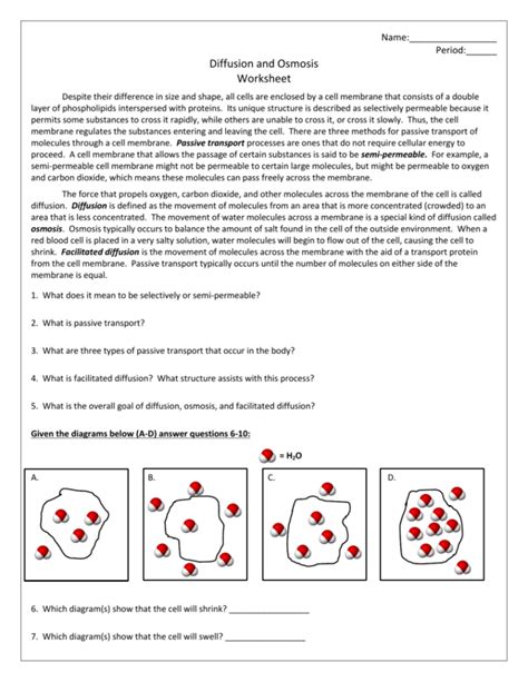 Osmosis And Diffusion Worksheets