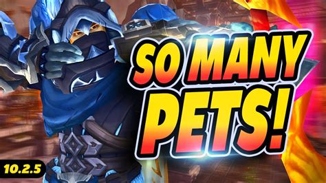 SO MANY PETS ! Beast Mastery Hunter | Wow 10.2.5 Dragonflight World of Warcraft PvP - YouTube