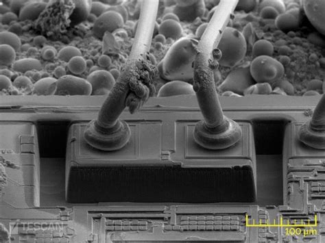 Wire Bonding - TESCAN FIB-SEMs extend the analytical possibilities