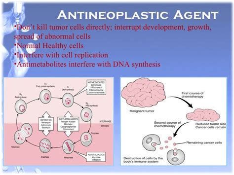 Antineoplastic Drugs