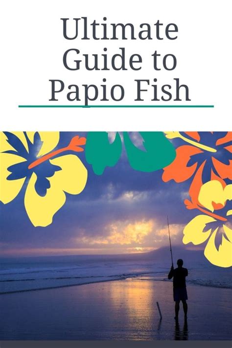 The Ultimate Guide to Papio Fish - NomList