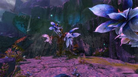 Secret Garden - Guild Wars 2 Wiki (GW2W)