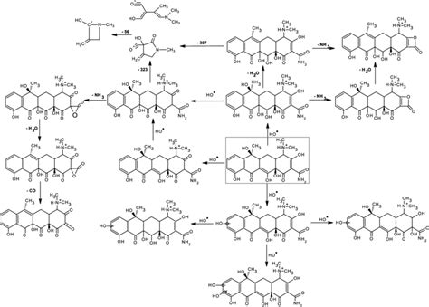 Products of photocatalytic degradation of tetracycline (Adapted from... | Download Scientific ...