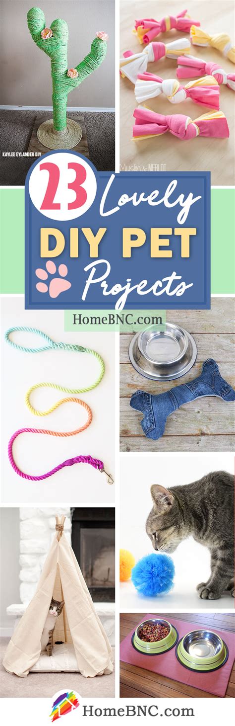 23 Best DIY Pet Ideas and Projects for 2019