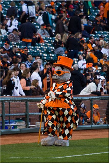 SF Giants Mascot Lou Seal in Loudmouth! | San francisco giants baseball ...