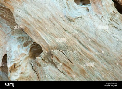 Surface pattern of nature Wood Stock Photo - Alamy