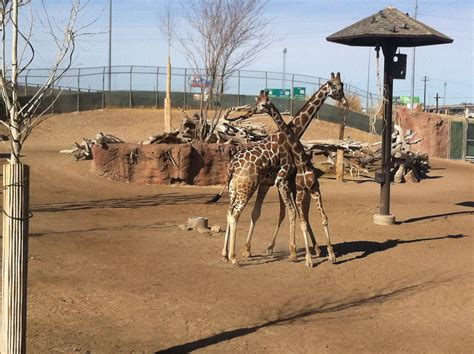 Fort Bliss Texas: El Paso Zoo