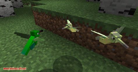 Exotic Birds Mod (1.20.1, 1.19.3) - Birds Take Over Minecraft ...