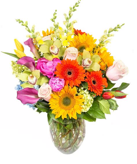 Summer Flower Bouquet Boston, MA - Same-day Delivery