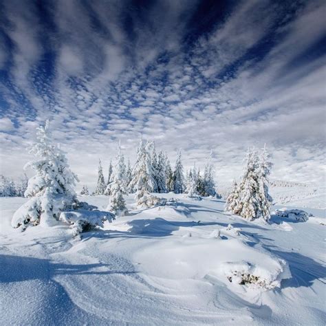 Winter landscape. Discover the most beautiful winter photographies with ...