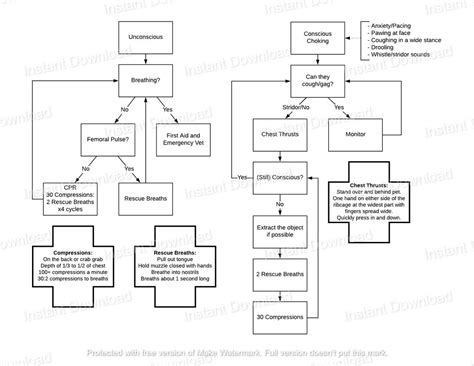 Dog First Aid and CPR Flowchart printable Digital Download - Etsy