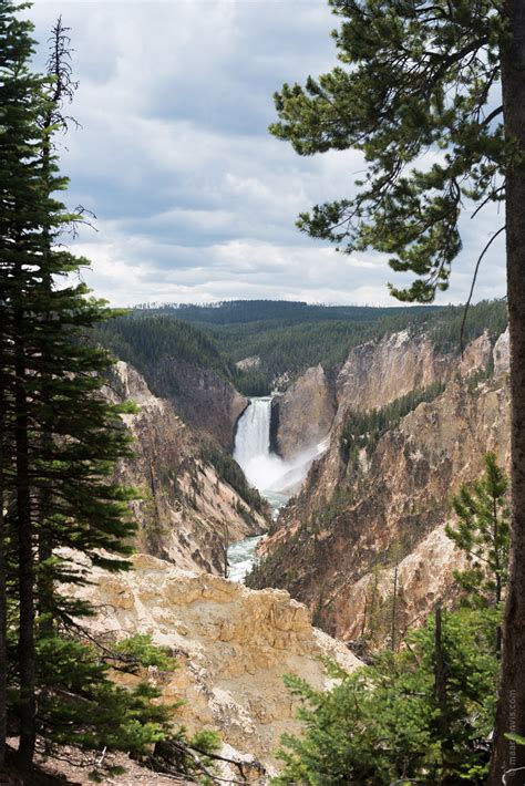 Yellowstone NP: Hiking at Yellowstone Grand Canyon - Fish and Feathers Travel Blog