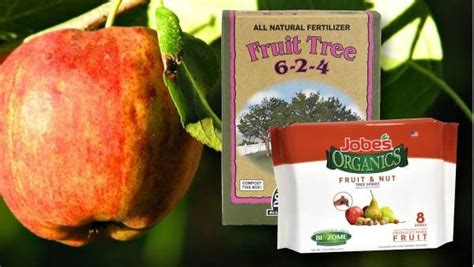 Top 7 Organic Fertilizer For Apple Trees