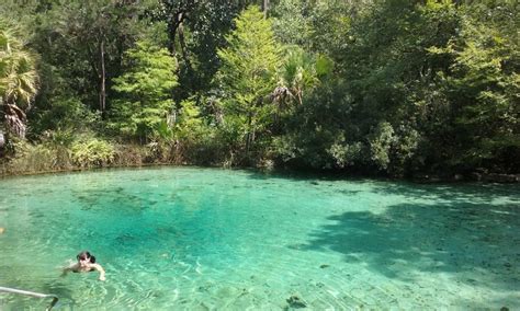 The Incredible Floridan Aquifer | Panhandle Outdoors