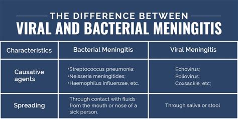 The Difference Between Viral And Bacterial Meningitis