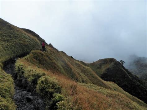 Hiking to the Summit of Mt Pulag - The Philippines - Safe and Healthy ...