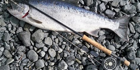 Best Salmon Fishing Rod - To make dinner all by yourself - Fish Gear ...