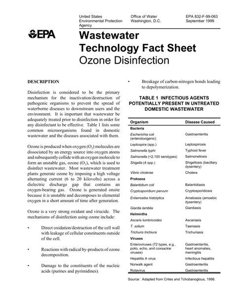 ozone disinfection system