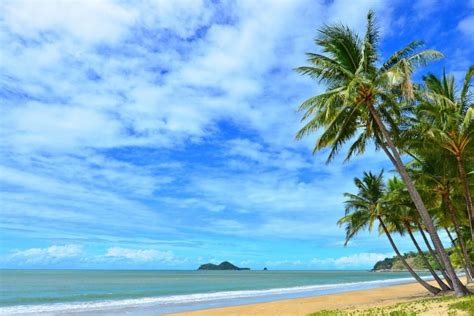 The Best Beaches In Cairns & Surrounds for Safe Swimming