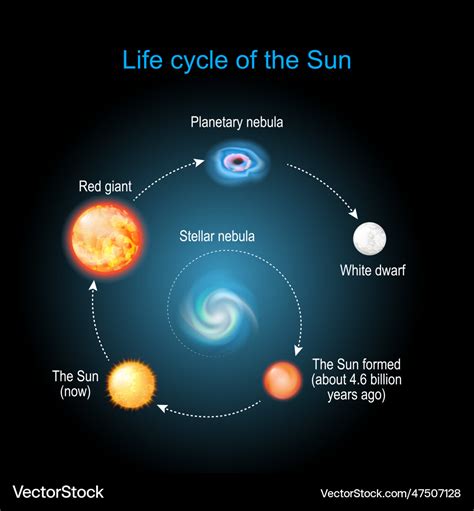 To Life Illustration Of The Suns Role