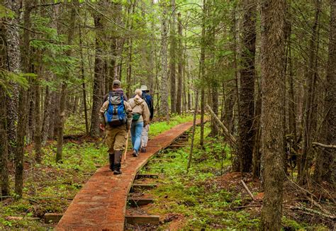 Minnesota's secret hiking trails | Minnesota hiking, Hiking spots, North country national scenic ...