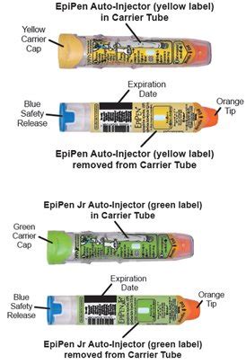 NDC 49502-501 Epipen Jr Epinephrine Injection Intramuscular