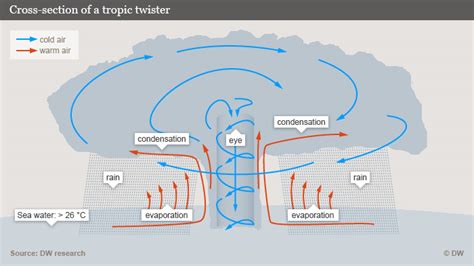 Hurricane Formation Diagram