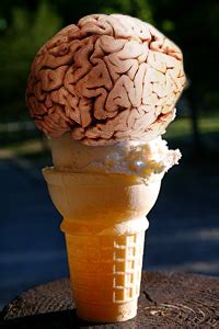 You Fall in Love Because Your Brain is a Jellyfish, Lizard, and Mouse Ice Cream Cone | Discover ...