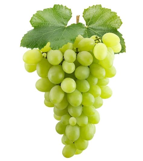 A Grade Sonaka Green Grapes, Packaging Size: 1 Kg at Rs 67/kg in Palitana