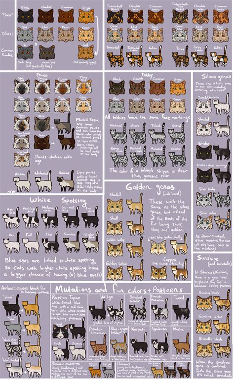 Cat color chart! OPEN IN A NEW TAB TO ZOOM IN This... - Slugs genetically accurate cats