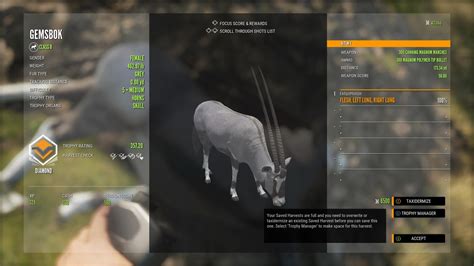 My first DIAMOND!!!!! : r/theHunter