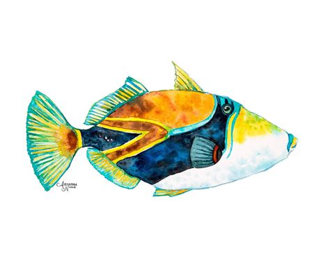 Trigger Fish Art Print or Hawaiian Reef Trigger Fish aka ...