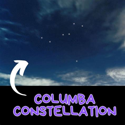 19 Little-Known Facts About the Columba Constellation