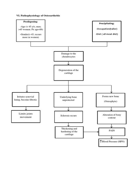 Pathophysiology of Osteoarthritis