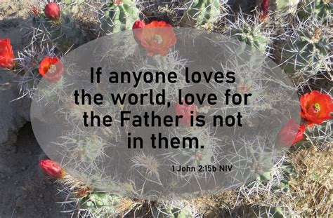 Do Not Love the World, Or Anything in It - 1 John 2:15 - A Clay Jar