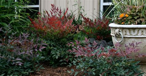 a planter filled with lots of plants next to a building