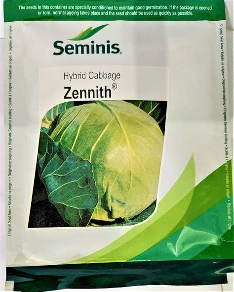 SEMINIS Cabbage Hybrid Zennith Seeds (10gm) : Amazon.in: Garden & Outdoors