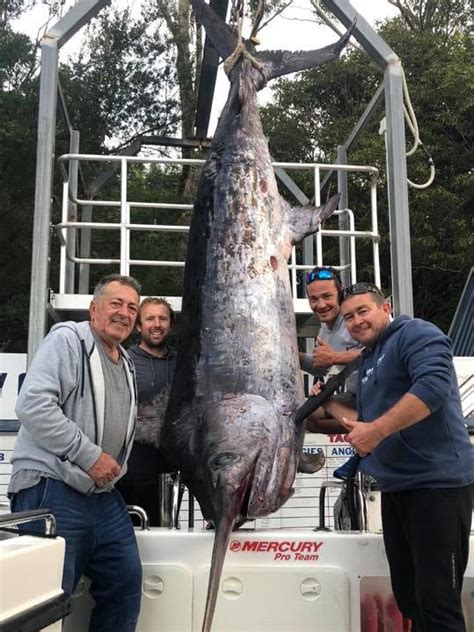 Largest swordfish ever caught in Australia may miss out on record due ...