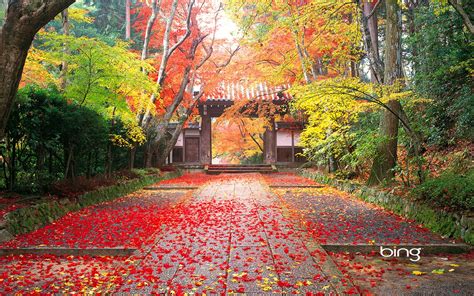 Autumn | Autumn in Japan Wallpapers | HD Wallpapers | Autumn landscape, Japanese landscape ...