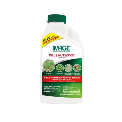 IMAGE 24-Oz Concentrate Herbicide at Lowes.com